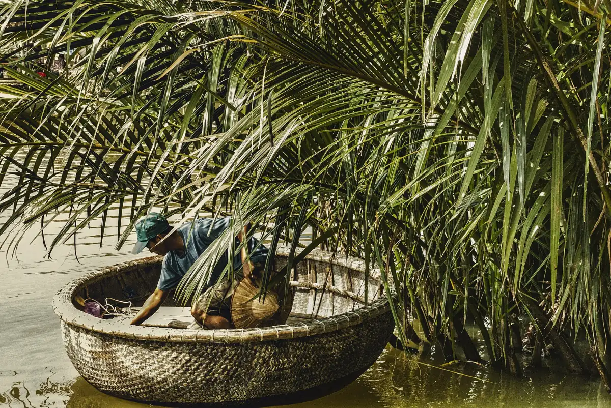 A basket boat among water coconut palms near Hoi An